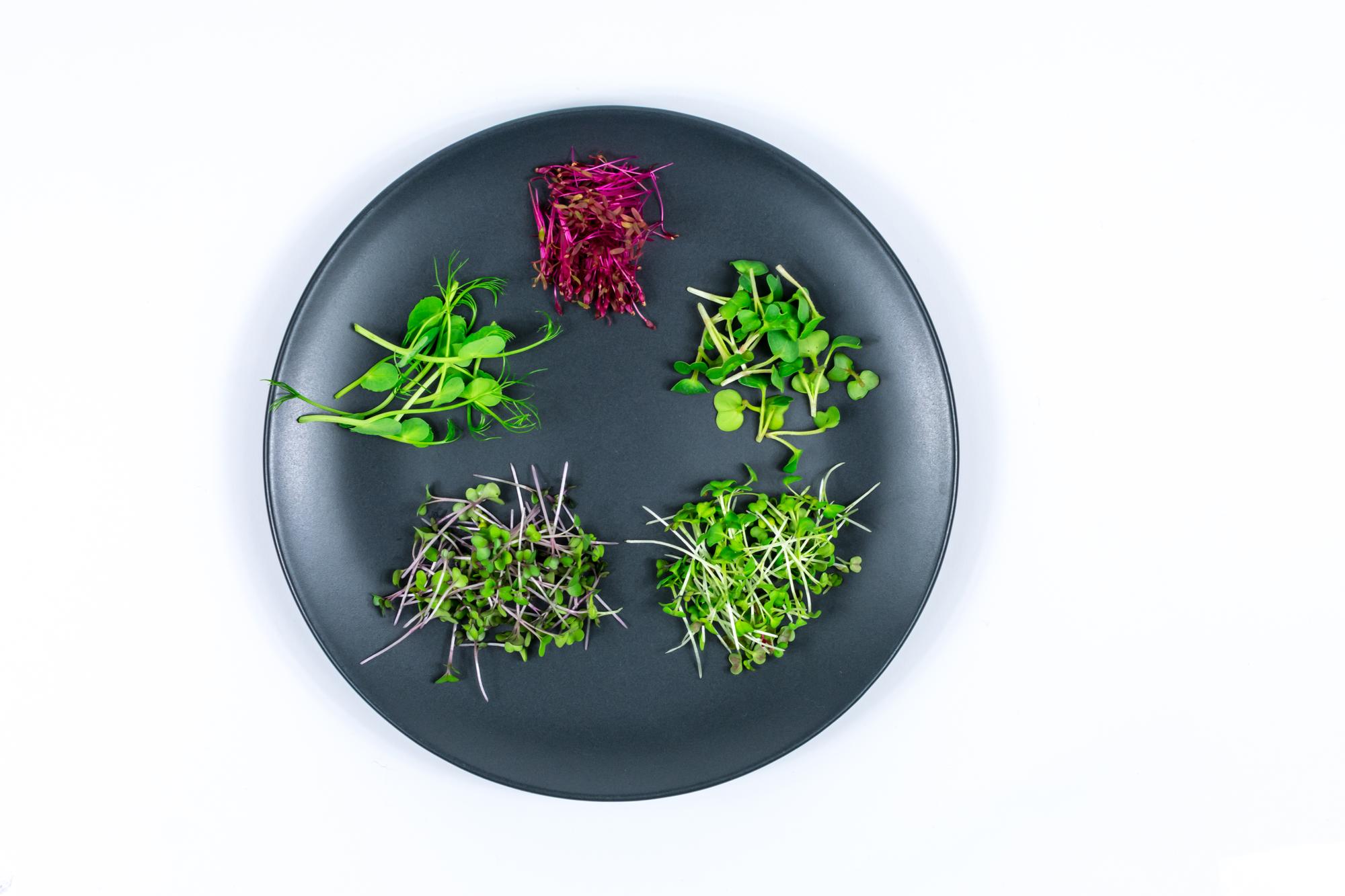 close up herb garnish on plate